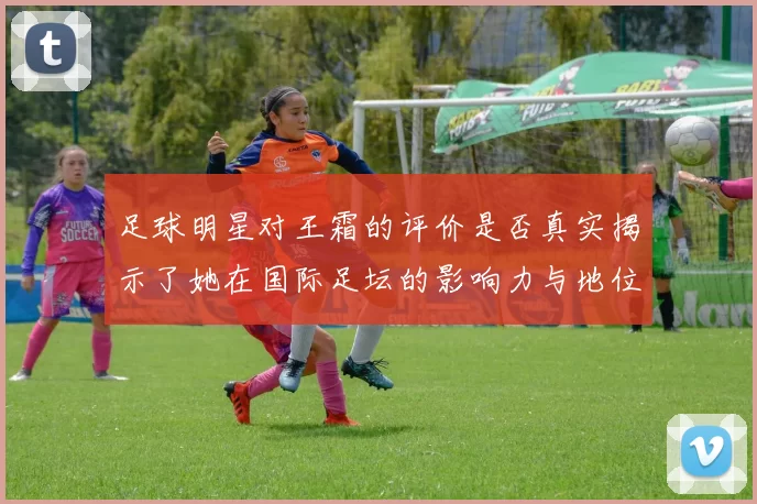 足球明星对王霜的评价是否真实揭示了她在国际足坛的影响力与地位