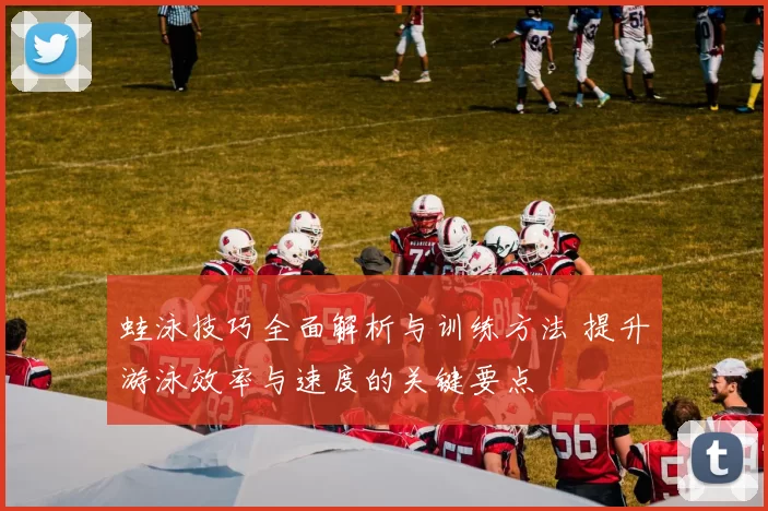 蛙泳技巧全面解析与训练方法 提升游泳效率与速度的关键要点
