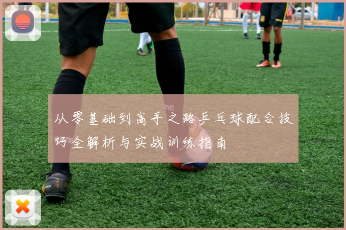 从零基础到高手之路乒乓球配合技巧全解析与实战训练指南