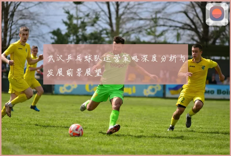 武汉乒乓球队运营策略深度分析与发展前景展望
