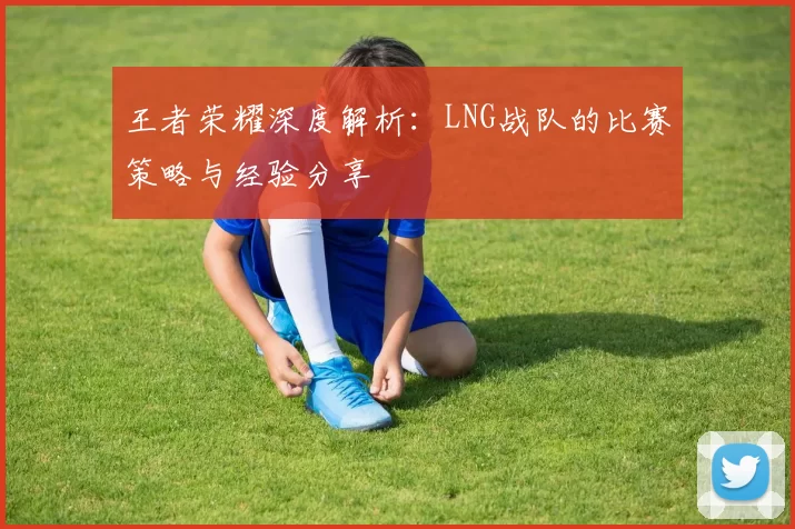 王者荣耀深度解析：LNG战队的比赛策略与经验分享