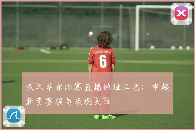 武汉卓尔比赛直播地址汇总：中超新贵赛程与表现关注