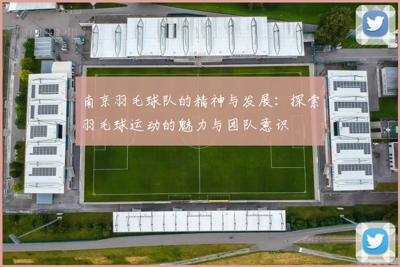 南京羽毛球队的精神与发展：探索羽毛球运动的魅力与团队意识
