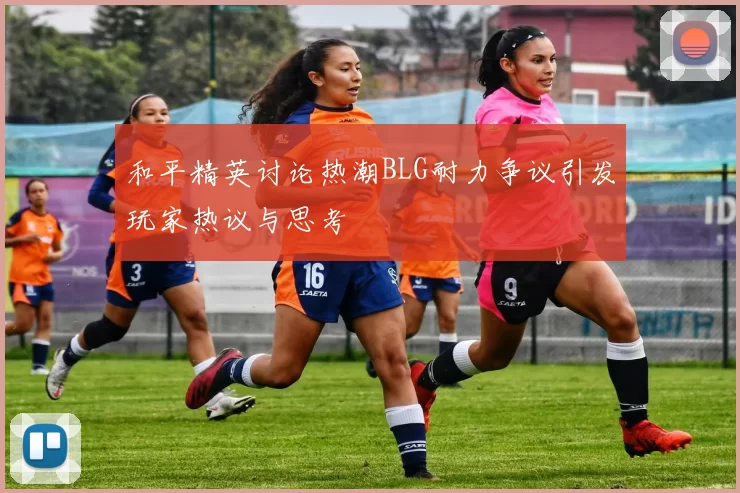 和平精英讨论热潮BLG耐力争议引发玩家热议与思考