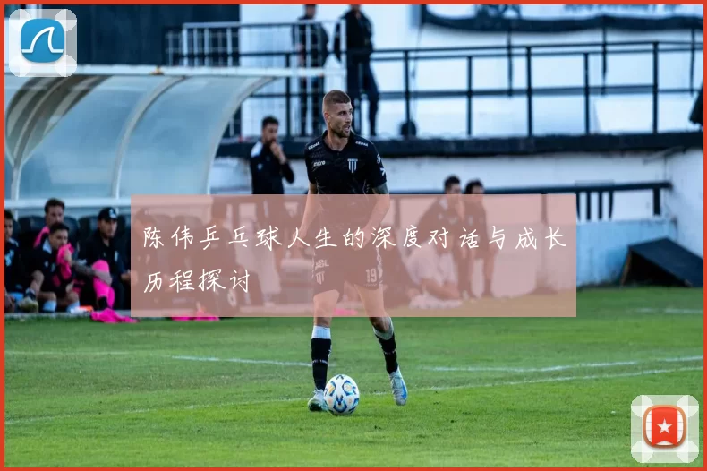 陈伟乒乓球人生的深度对话与成长历程探讨