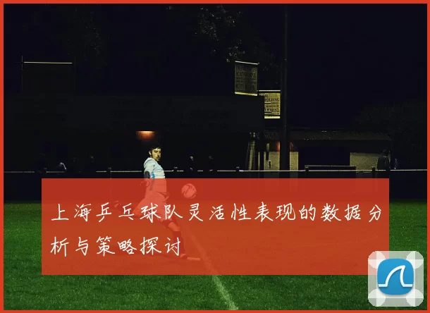 上海乒乓球队灵活性表现的数据分析与策略探讨