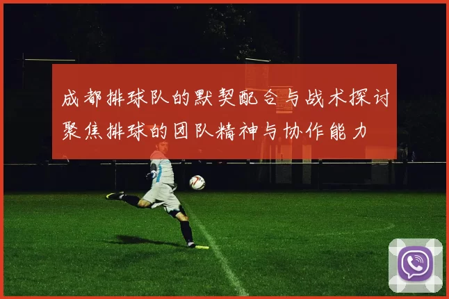 成都排球队的默契配合与战术探讨聚焦排球的团队精神与协作能力