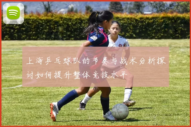 上海乒乓球队的节奏与战术分析探讨如何提升整体竞技水平