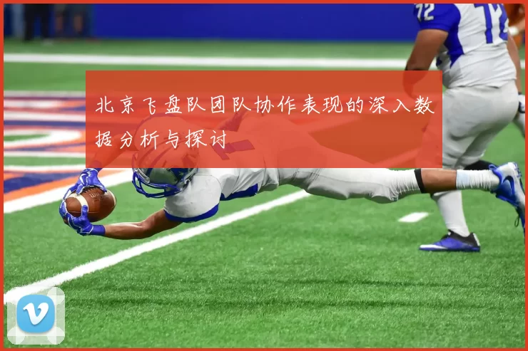 北京飞盘队团队协作表现的深入数据分析与探讨