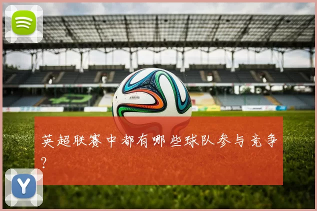 英超联赛中都有哪些球队参与竞争？