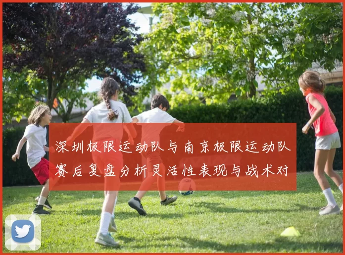 深圳极限运动队与南京极限运动队赛后复盘分析灵活性表现与战术对比