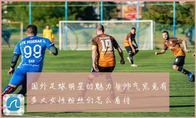 国外足球明星的魅力与帅气究竟有多大女性粉丝们怎么看待