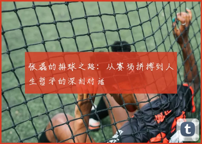 张磊的排球之路：从赛场拼搏到人生哲学的深刻对话